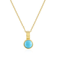 Collar en plata con Turquesa bella durmiente