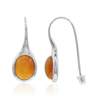 Pendientes en plata con Cornalina