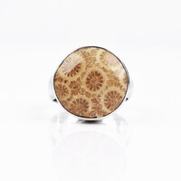 Anillo en plata con Piedra petoskey
