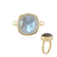 Anillo en plata con Labradorita