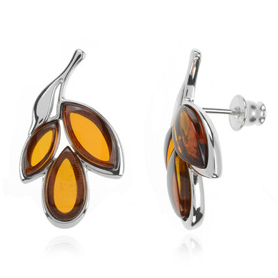 Pendientes en plata con Ámbar báltico (dagen)