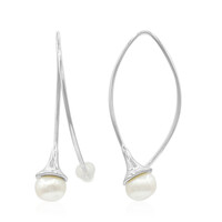 Pendientes en plata con Perla Freshwater (TPC)