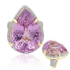 Anillo en oro con Cuncita de Patroke