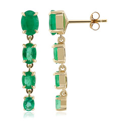 Pendientes en oro con Esmeralda de Zambia