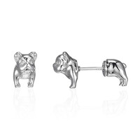 Pendientes en plata