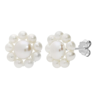 Pendientes en plata con Perla blanca Freshwater