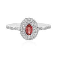 Anillo en plata con Zafiro Crepúsculo