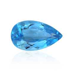 Piedra preciosa con Topacio de Marambaia 13,04 ct