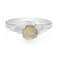 Anillo en plata con Espectrolita