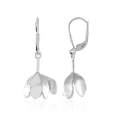 Pendientes en plata