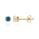 Pendientes en oro con Apatita azul neón