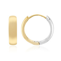 Pendientes en plata