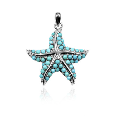 Colgante en plata con Turquesa bella durmiente