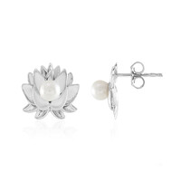 Pendientes en plata con Perla blanca Freshwater (de Melo)