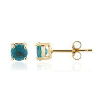Pendientes en oro con Apatita azul