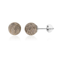 Pendientes en plata con Piedra petoskey