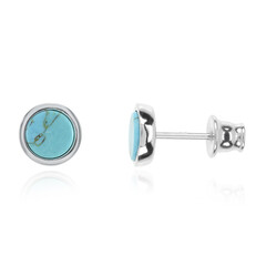 Pendientes en plata con Turquesa