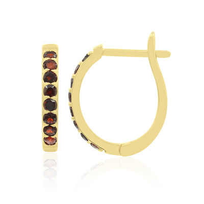Pendientes en plata con Granate