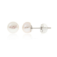 Pendientes en plata con Perla Freshwater