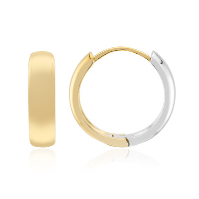 Pendientes en plata