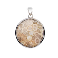 Colgante en plata con Piedra petoskey