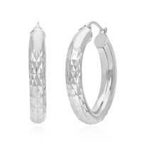 Pendientes en plata