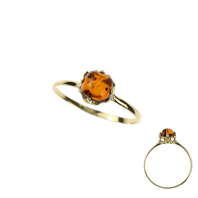 Anillo en oro con Ámbar báltico (dagen)