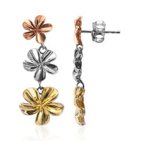 Pendientes en plata