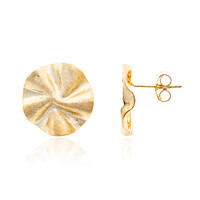 Pendientes en plata