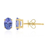 Pendientes en oro con Tanzanita AAA (CIRARI)