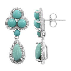 Pendientes en plata con Campitos turquesas