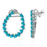 Pendientes en plata con Turquesa bella durmiente