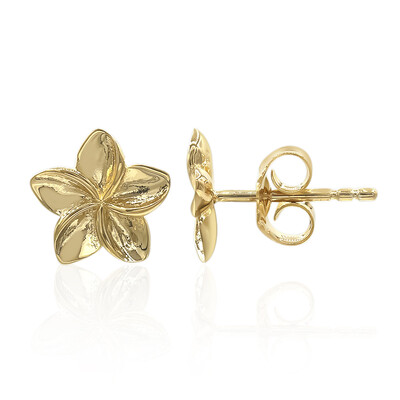 Pendientes en plata
