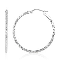 Pendientes en plata