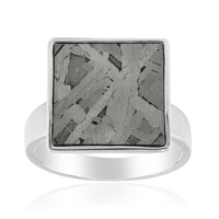 Anillo en plata con Meteorito Aletai