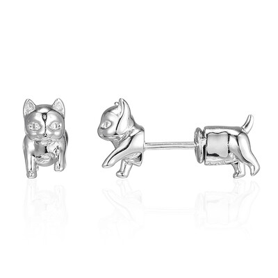 Pendientes en plata