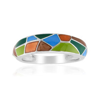 Anillo en plata (SAELOCANA)