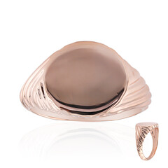 Anillo en plata
