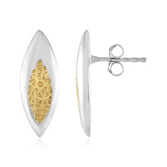 Pendientes en plata