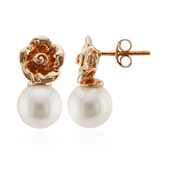 Pendientes en oro con Perla blanca Freshwater (TPC)