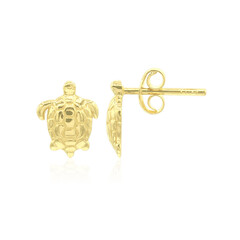 Pendientes en plata