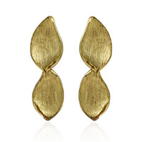 Pendientes en plata (Joias do Paraíso)