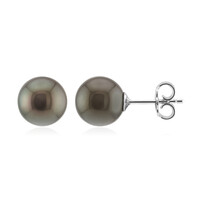 Pendientes en plata con Perla cultivada de Tahití (TPC)
