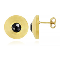 Pendientes en plata con Espinela negra