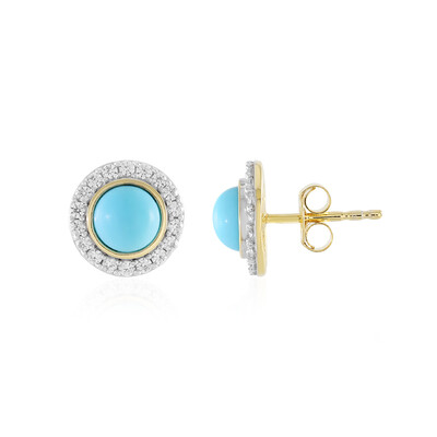 Pendientes en plata con Turquesa bella durmiente