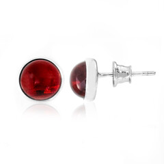 Pendientes en plata con Ámbar colombiano rojo