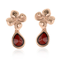 Pendientes en plata con Ámbar báltico