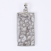 Colgante en plata con Piedra petoskey