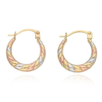 Pendientes en oro