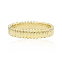 Anillo en plata
